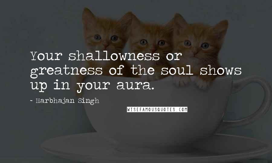 Harbhajan Singh Quotes: Your shallowness or greatness of the soul shows up in your aura.