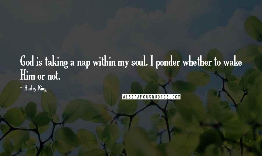 Harley King Quotes: God is taking a nap within my soul. I ponder whether to wake Him or not.