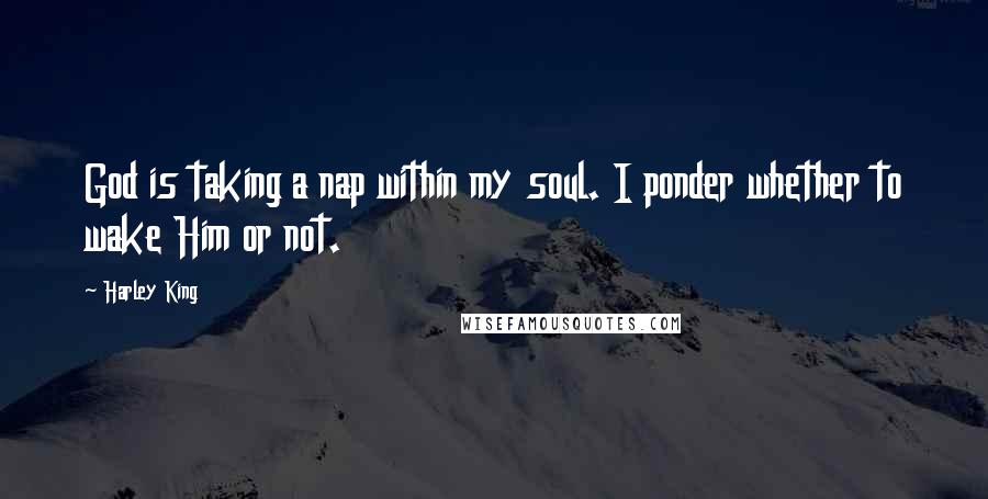 Harley King Quotes: God is taking a nap within my soul. I ponder whether to wake Him or not.