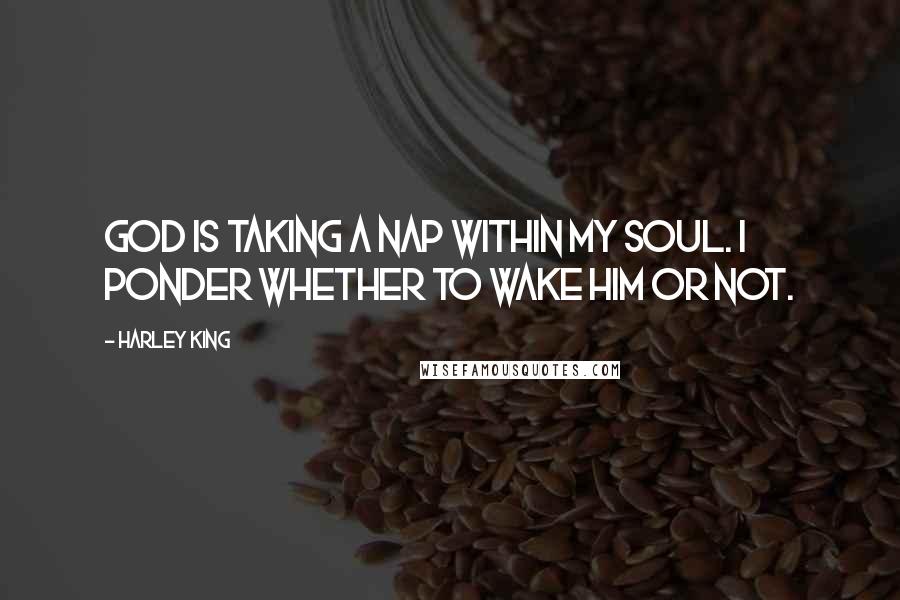 Harley King Quotes: God is taking a nap within my soul. I ponder whether to wake Him or not.