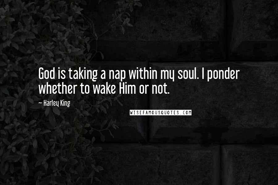 Harley King Quotes: God is taking a nap within my soul. I ponder whether to wake Him or not.