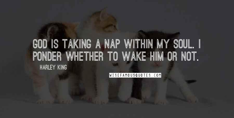 Harley King Quotes: God is taking a nap within my soul. I ponder whether to wake Him or not.