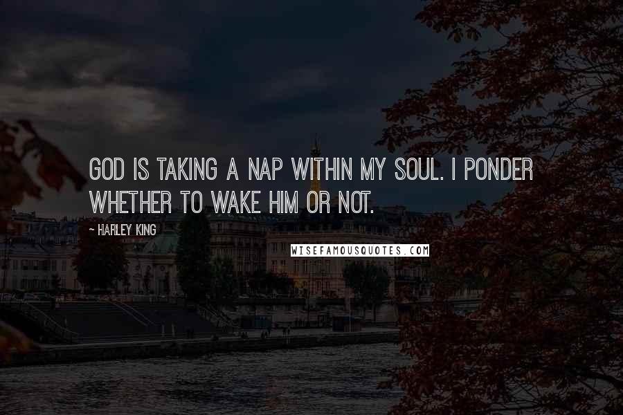 Harley King Quotes: God is taking a nap within my soul. I ponder whether to wake Him or not.