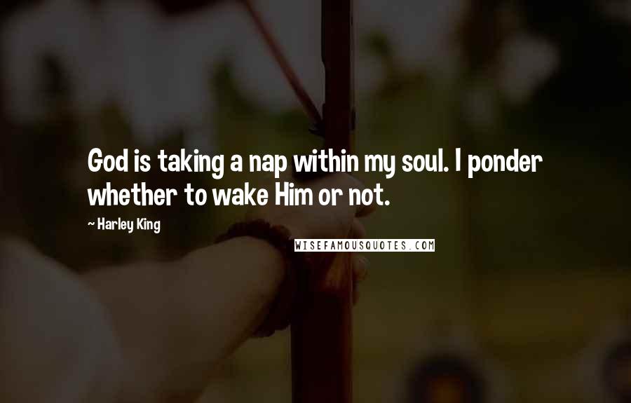 Harley King Quotes: God is taking a nap within my soul. I ponder whether to wake Him or not.