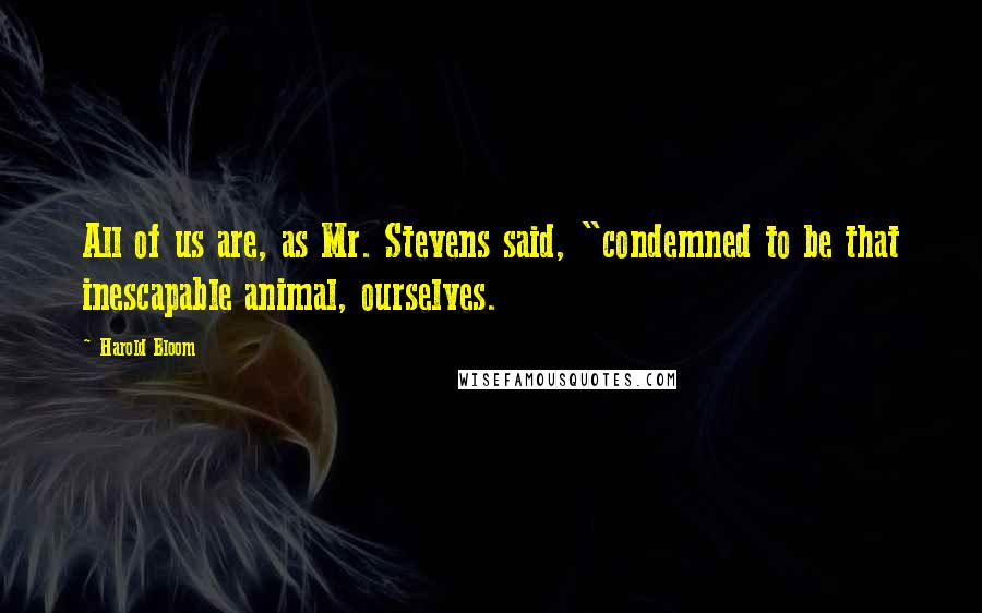 Harold Bloom Quotes: All of us are, as Mr. Stevens said, "condemned to be that inescapable animal, ourselves.