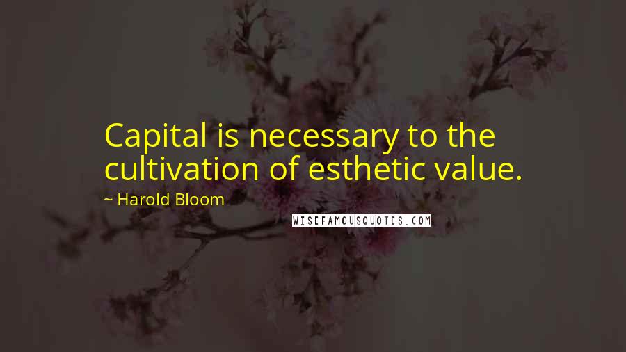 Harold Bloom Quotes: Capital is necessary to the cultivation of esthetic value.