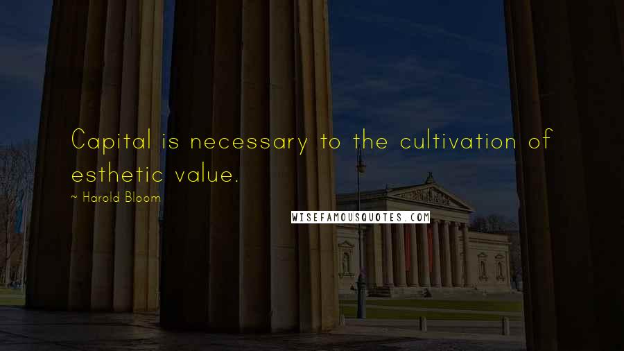 Harold Bloom Quotes: Capital is necessary to the cultivation of esthetic value.