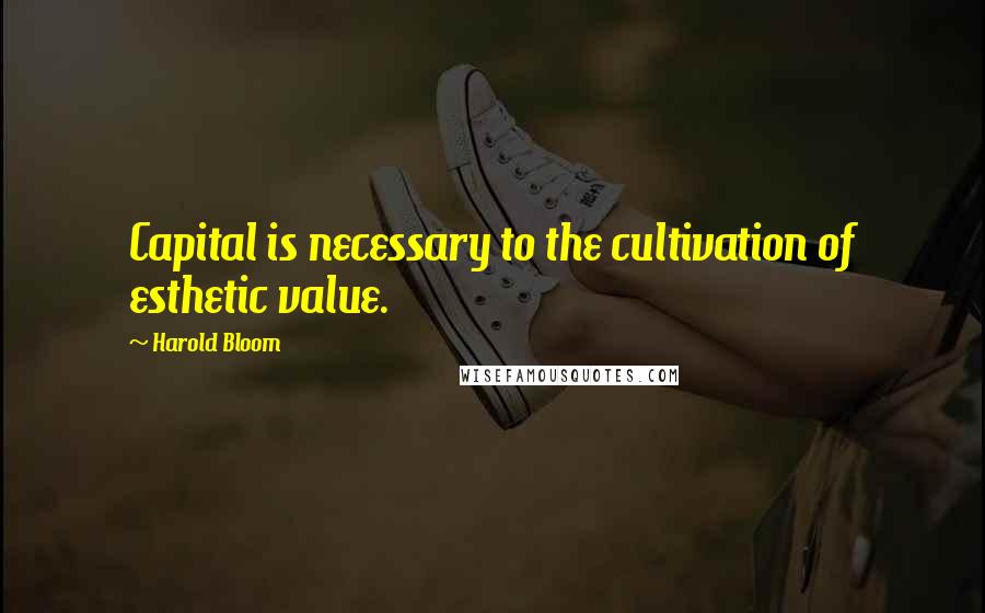 Harold Bloom Quotes: Capital is necessary to the cultivation of esthetic value.