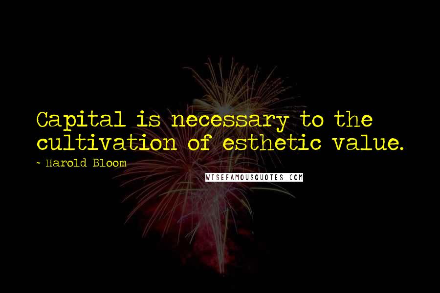 Harold Bloom Quotes: Capital is necessary to the cultivation of esthetic value.