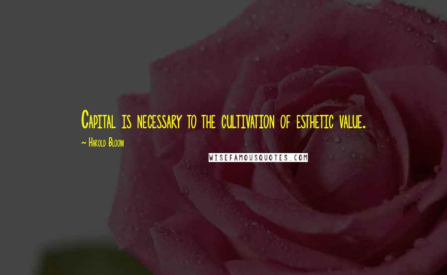Harold Bloom Quotes: Capital is necessary to the cultivation of esthetic value.