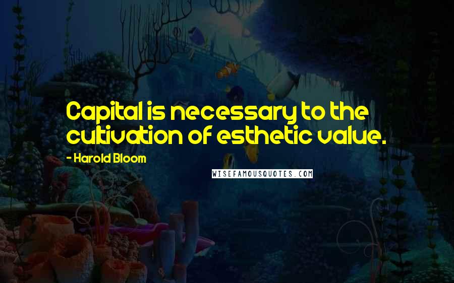 Harold Bloom Quotes: Capital is necessary to the cultivation of esthetic value.