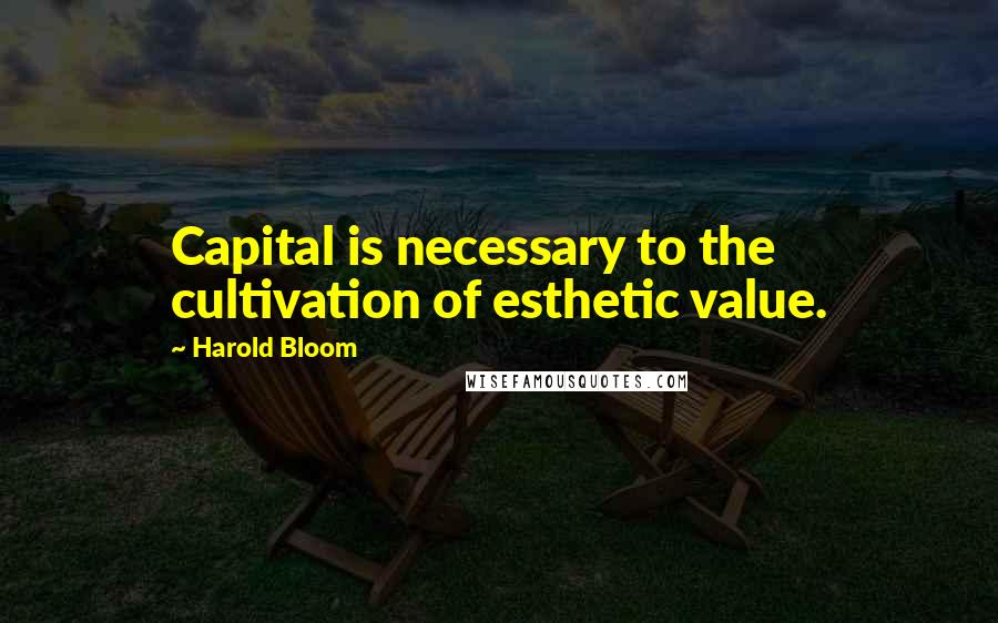 Harold Bloom Quotes: Capital is necessary to the cultivation of esthetic value.