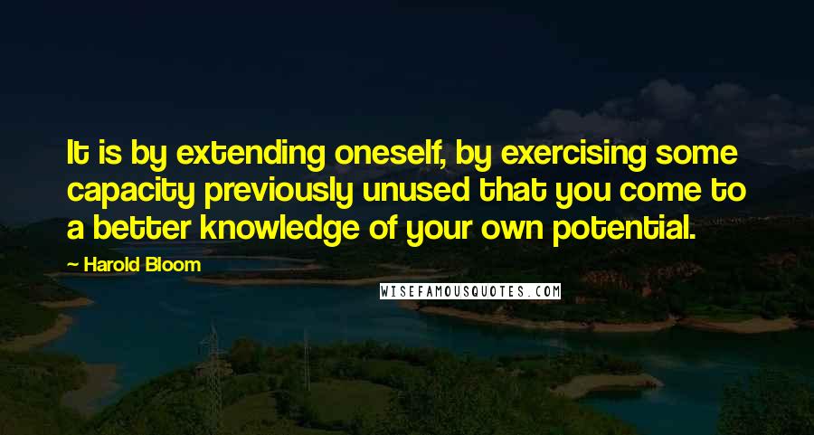 Harold Bloom Quotes: It is by extending oneself, by exercising some capacity previously unused that you come to a better knowledge of your own potential.