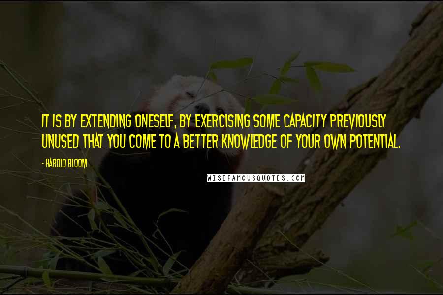 Harold Bloom Quotes: It is by extending oneself, by exercising some capacity previously unused that you come to a better knowledge of your own potential.