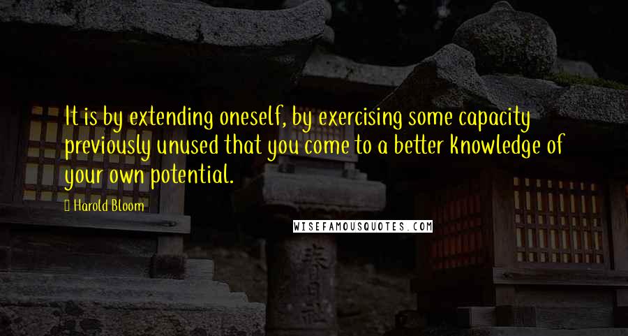 Harold Bloom Quotes: It is by extending oneself, by exercising some capacity previously unused that you come to a better knowledge of your own potential.