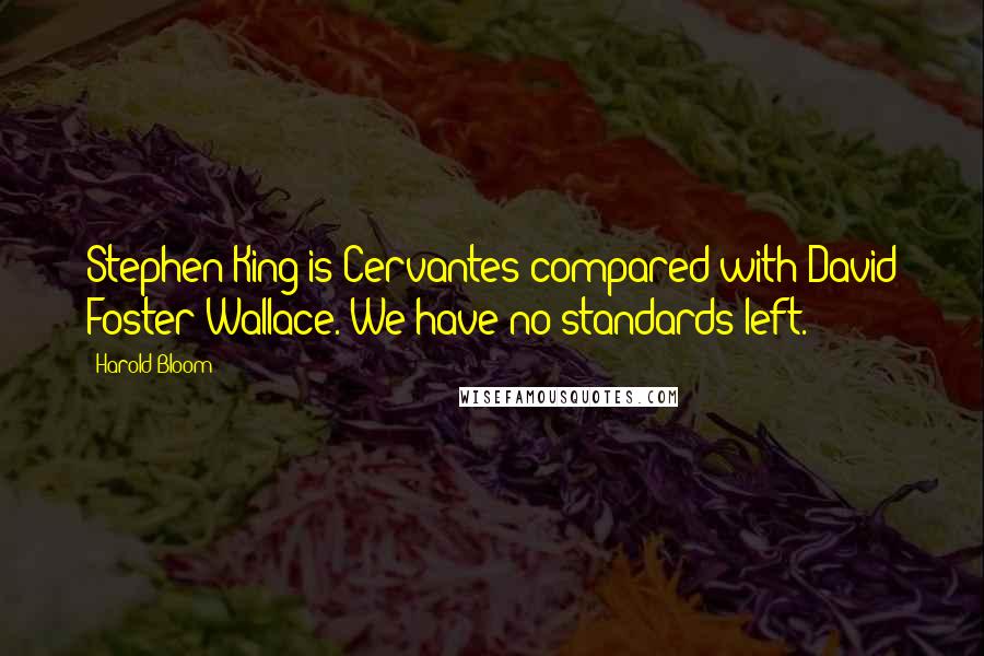 Harold Bloom Quotes: Stephen King is Cervantes compared with David Foster Wallace. We have no standards left.