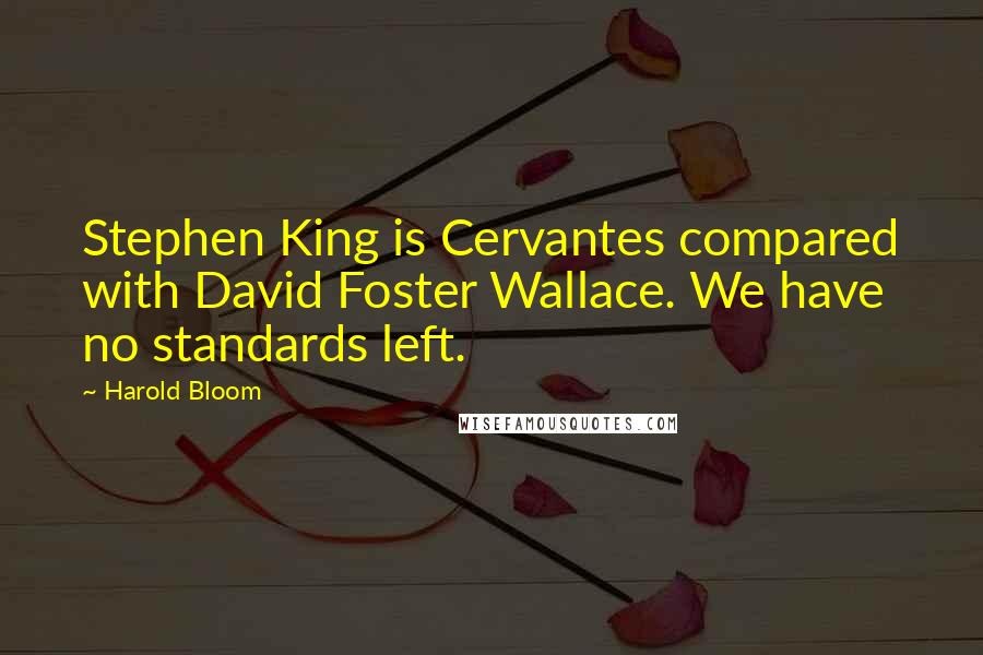 Harold Bloom Quotes: Stephen King is Cervantes compared with David Foster Wallace. We have no standards left.