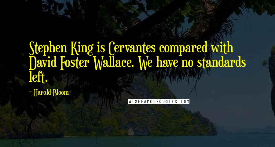Harold Bloom Quotes: Stephen King is Cervantes compared with David Foster Wallace. We have no standards left.