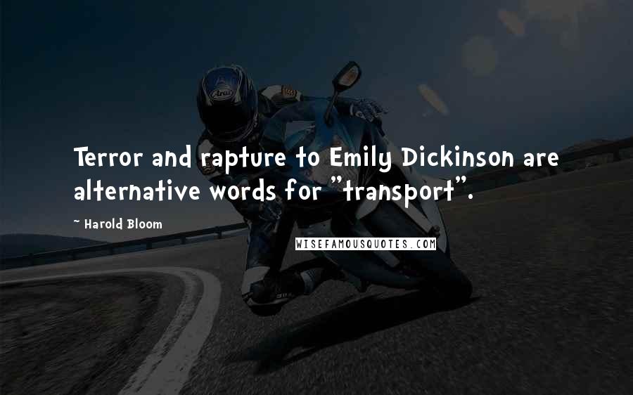 Harold Bloom Quotes: Terror and rapture to Emily Dickinson are alternative words for "transport".