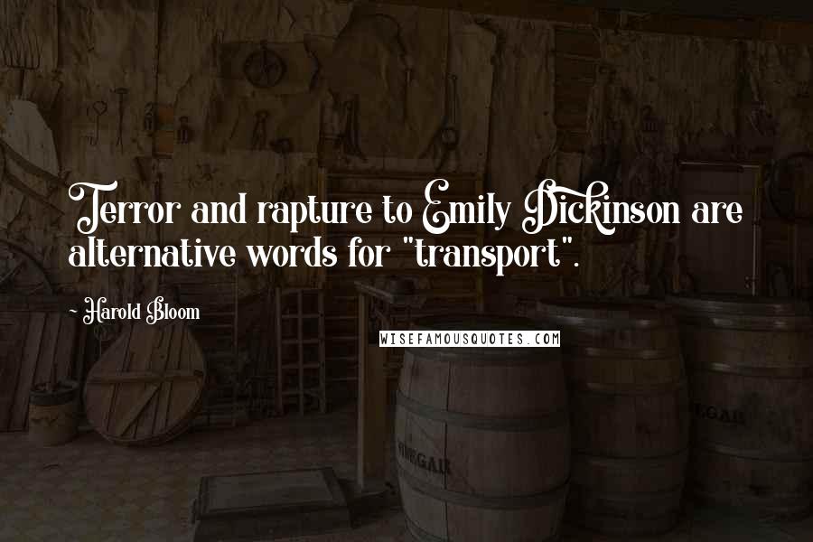 Harold Bloom Quotes: Terror and rapture to Emily Dickinson are alternative words for "transport".