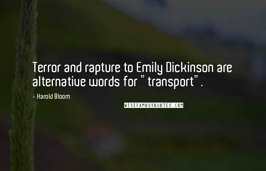 Harold Bloom Quotes: Terror and rapture to Emily Dickinson are alternative words for "transport".