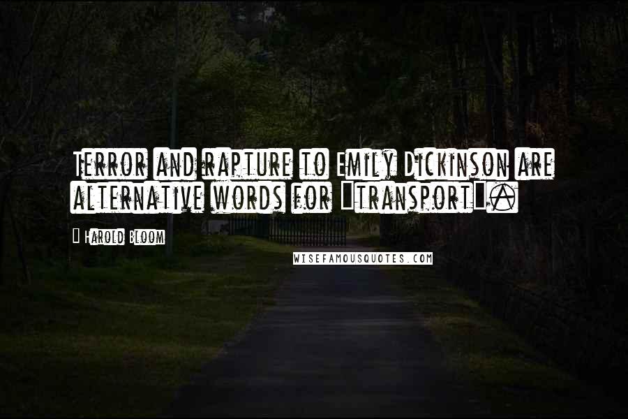 Harold Bloom Quotes: Terror and rapture to Emily Dickinson are alternative words for "transport".