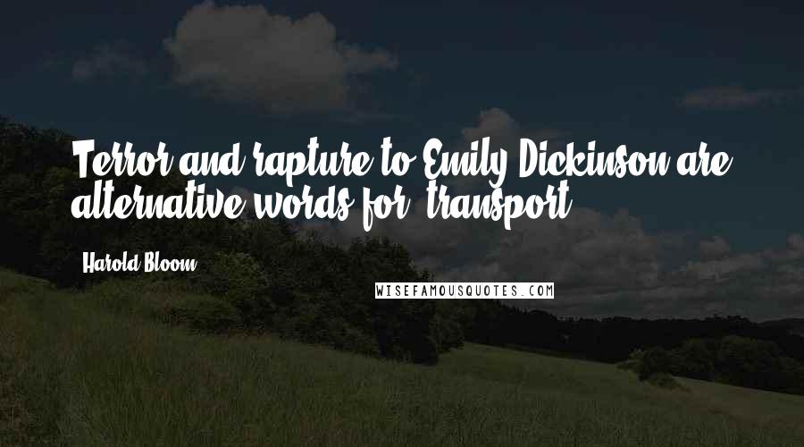 Harold Bloom Quotes: Terror and rapture to Emily Dickinson are alternative words for "transport".