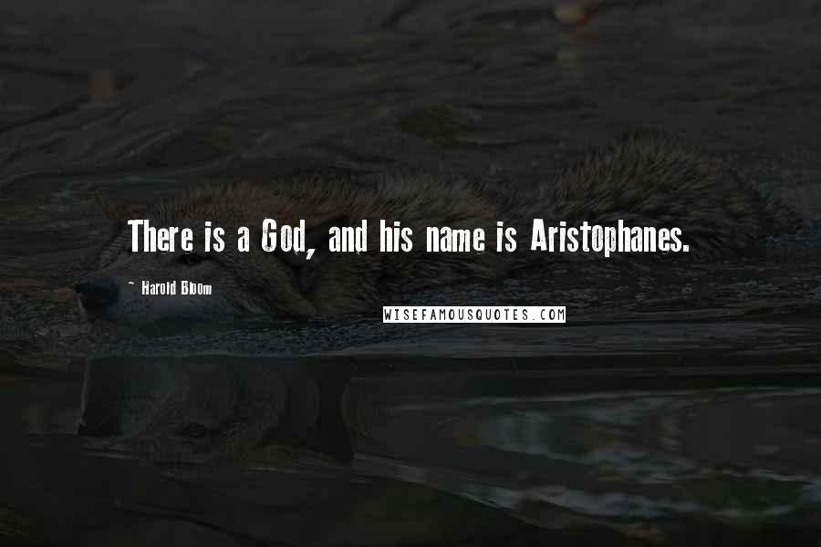 Harold Bloom Quotes: There is a God, and his name is Aristophanes.