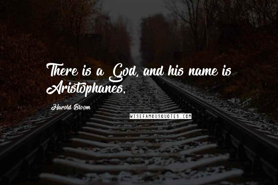 Harold Bloom Quotes: There is a God, and his name is Aristophanes.