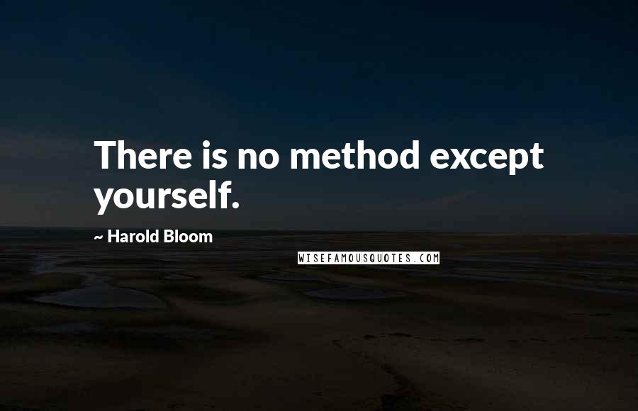 Harold Bloom Quotes: There is no method except yourself.