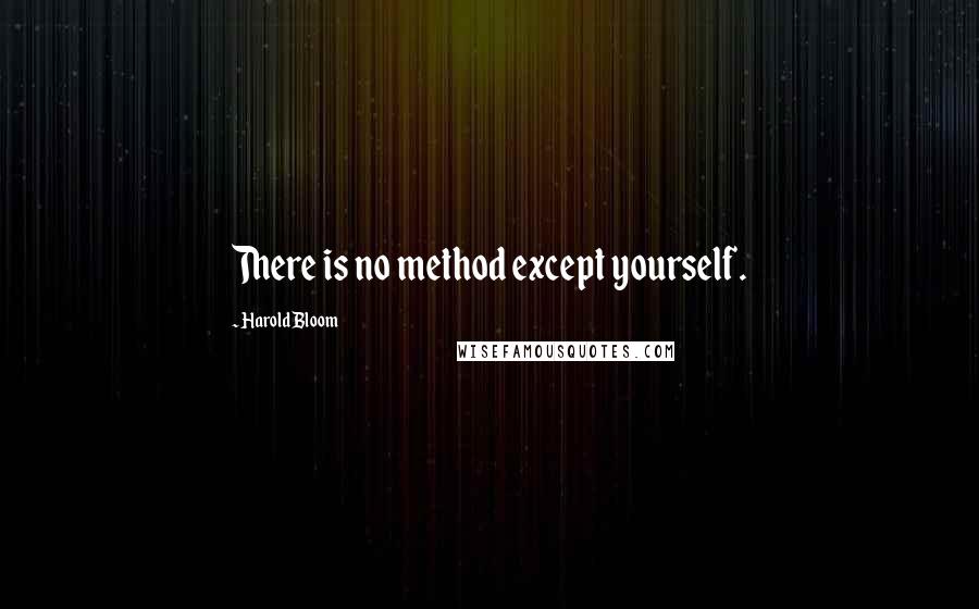 Harold Bloom Quotes: There is no method except yourself.