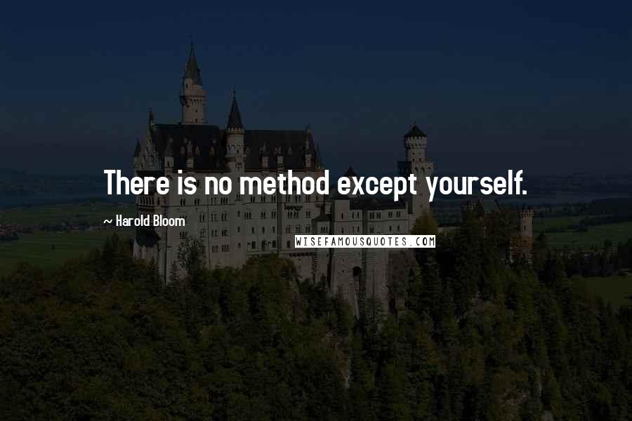 Harold Bloom Quotes: There is no method except yourself.