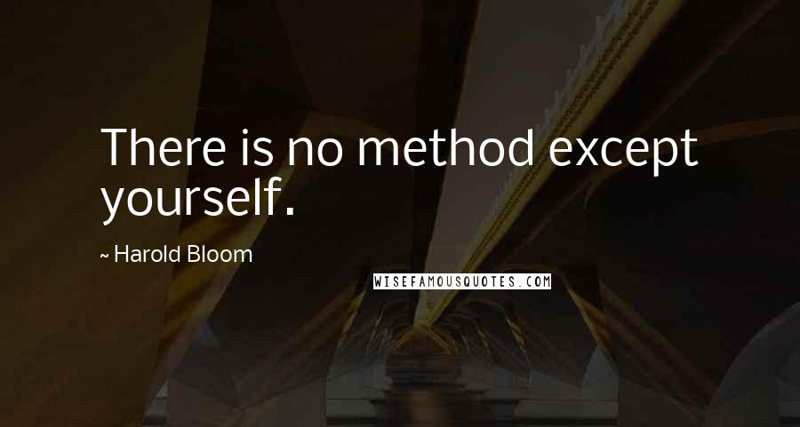 Harold Bloom Quotes: There is no method except yourself.