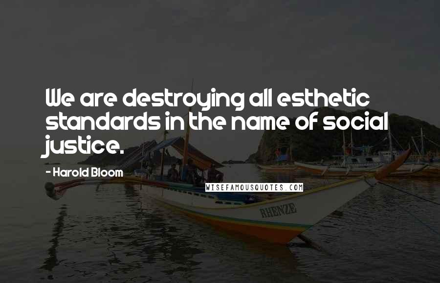 Harold Bloom Quotes: We are destroying all esthetic standards in the name of social justice.