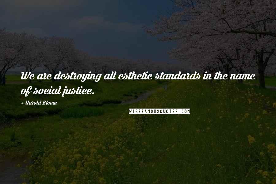 Harold Bloom Quotes: We are destroying all esthetic standards in the name of social justice.