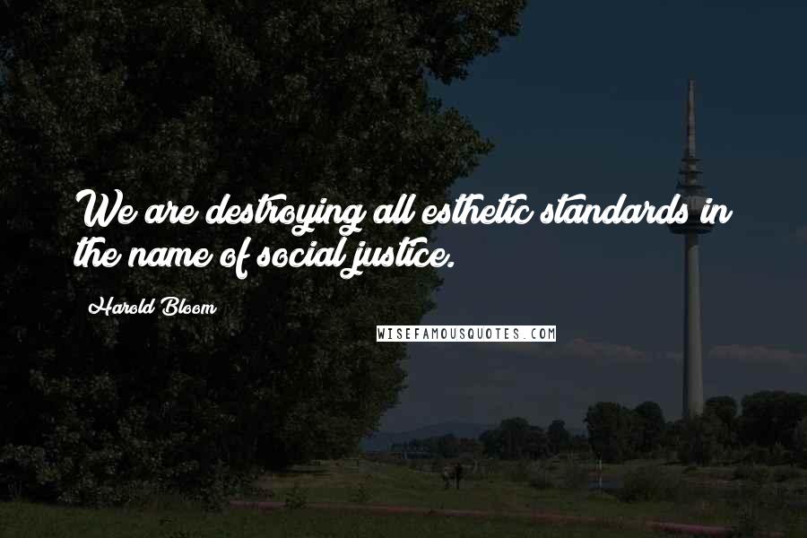 Harold Bloom Quotes: We are destroying all esthetic standards in the name of social justice.