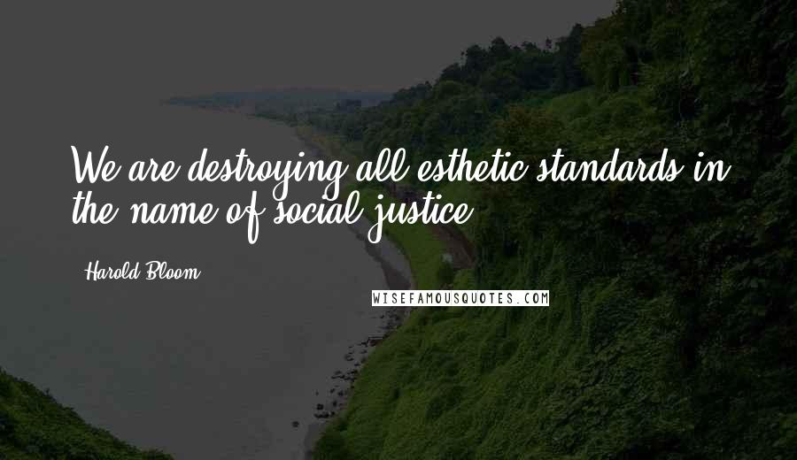 Harold Bloom Quotes: We are destroying all esthetic standards in the name of social justice.