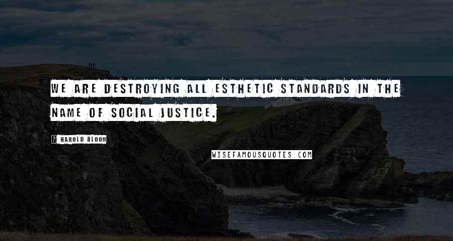 Harold Bloom Quotes: We are destroying all esthetic standards in the name of social justice.