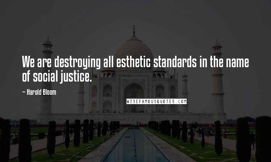 Harold Bloom Quotes: We are destroying all esthetic standards in the name of social justice.