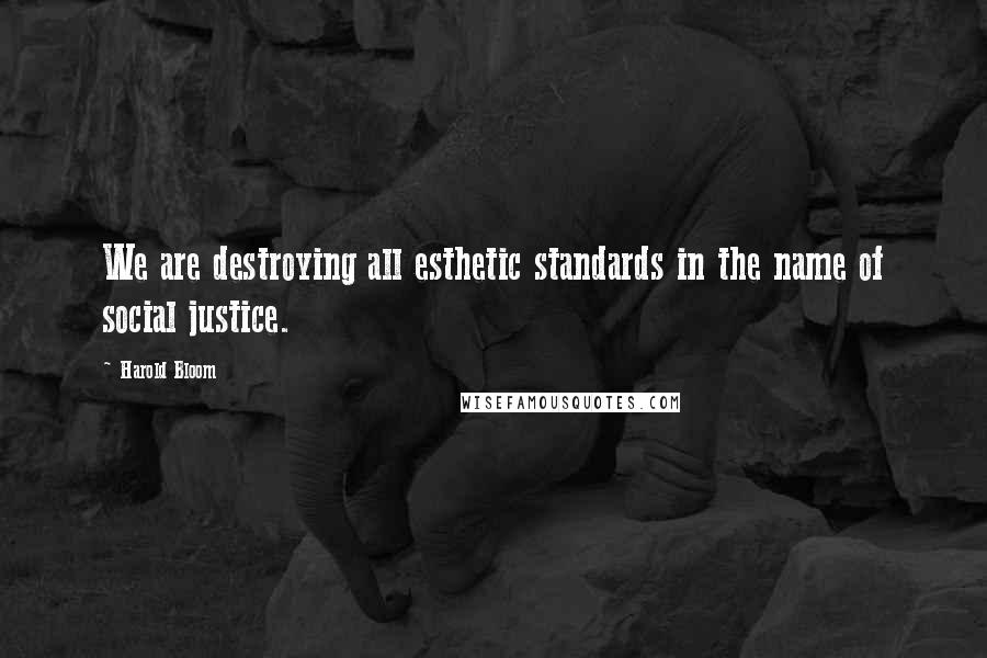 Harold Bloom Quotes: We are destroying all esthetic standards in the name of social justice.