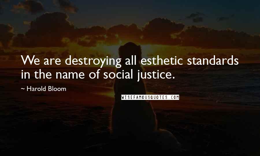 Harold Bloom Quotes: We are destroying all esthetic standards in the name of social justice.