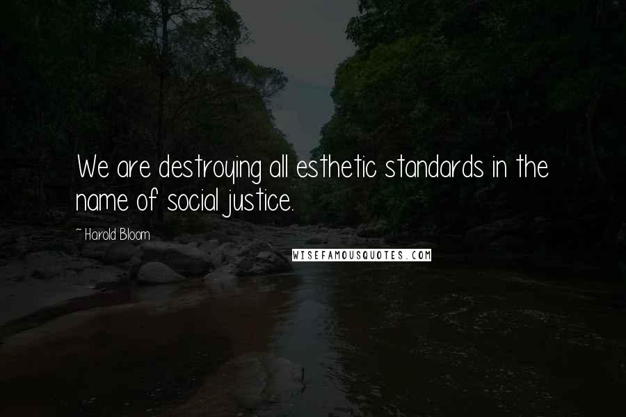 Harold Bloom Quotes: We are destroying all esthetic standards in the name of social justice.