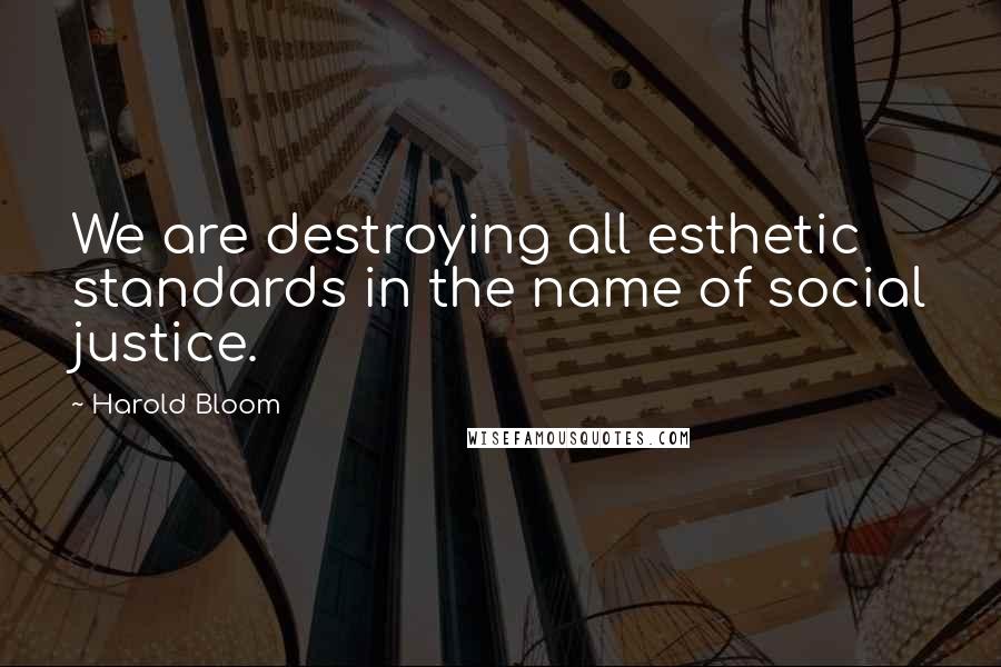Harold Bloom Quotes: We are destroying all esthetic standards in the name of social justice.