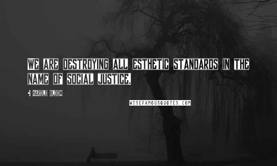 Harold Bloom Quotes: We are destroying all esthetic standards in the name of social justice.