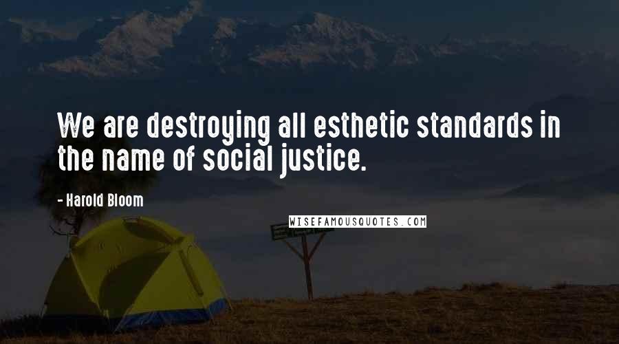 Harold Bloom Quotes: We are destroying all esthetic standards in the name of social justice.