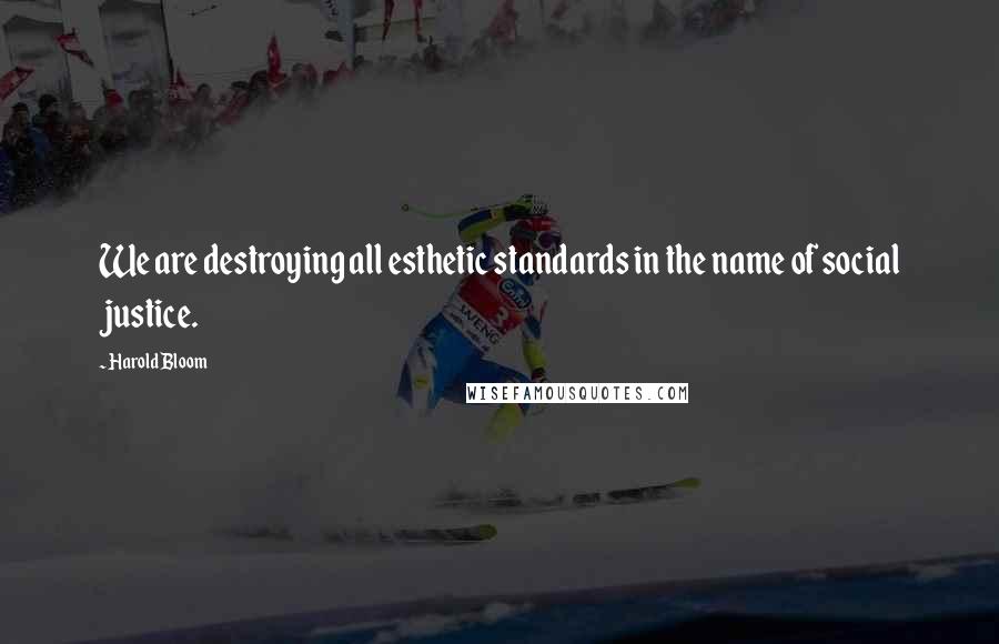 Harold Bloom Quotes: We are destroying all esthetic standards in the name of social justice.