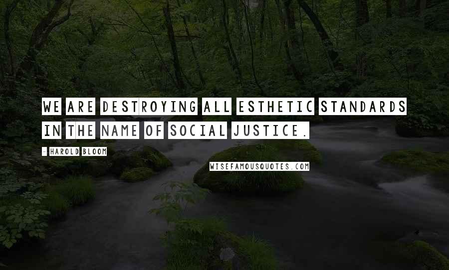 Harold Bloom Quotes: We are destroying all esthetic standards in the name of social justice.