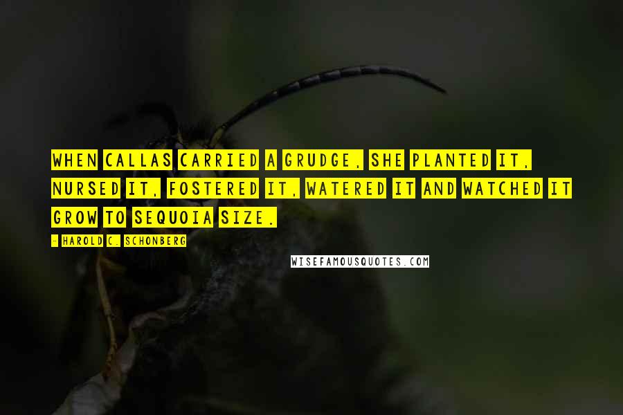 Harold C. Schonberg Quotes: When Callas carried a grudge, she planted it, nursed it, fostered it, watered it and watched it grow to sequoia size.