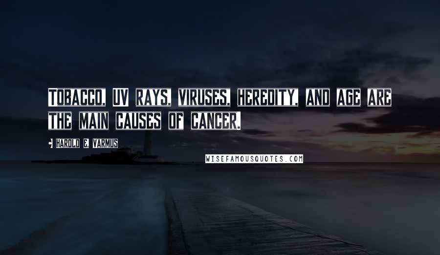 Harold E. Varmus Quotes: Tobacco, UV rays, viruses, heredity, and age are the main causes of cancer.