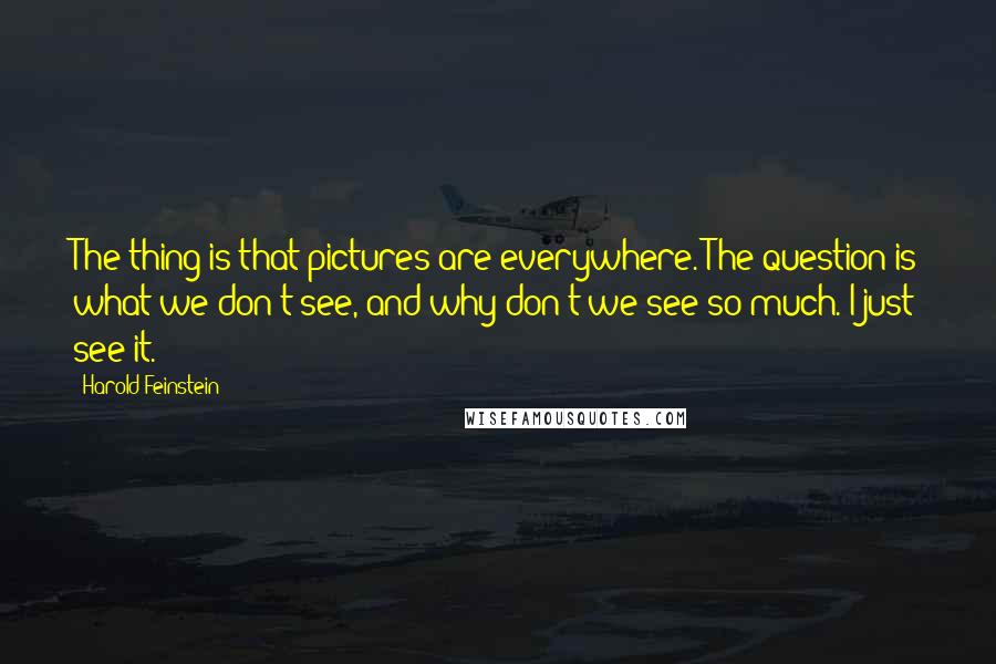 Harold Feinstein Quotes: The thing is that pictures are everywhere. The question is what we don't see, and why don't we see so much. I just see it.